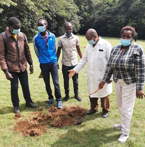 tree planting exercise