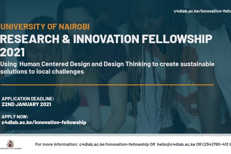 research and innovation fellowship 2021