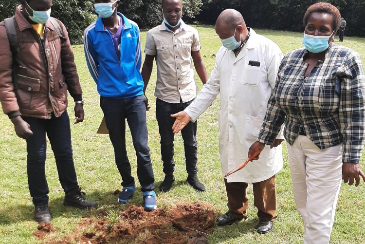 tree planting