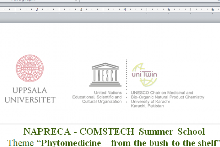NAPRECA-COMSTECH Summer school program