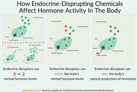 (image by National Institute of Environmental Health Sciences (NIEHS))
